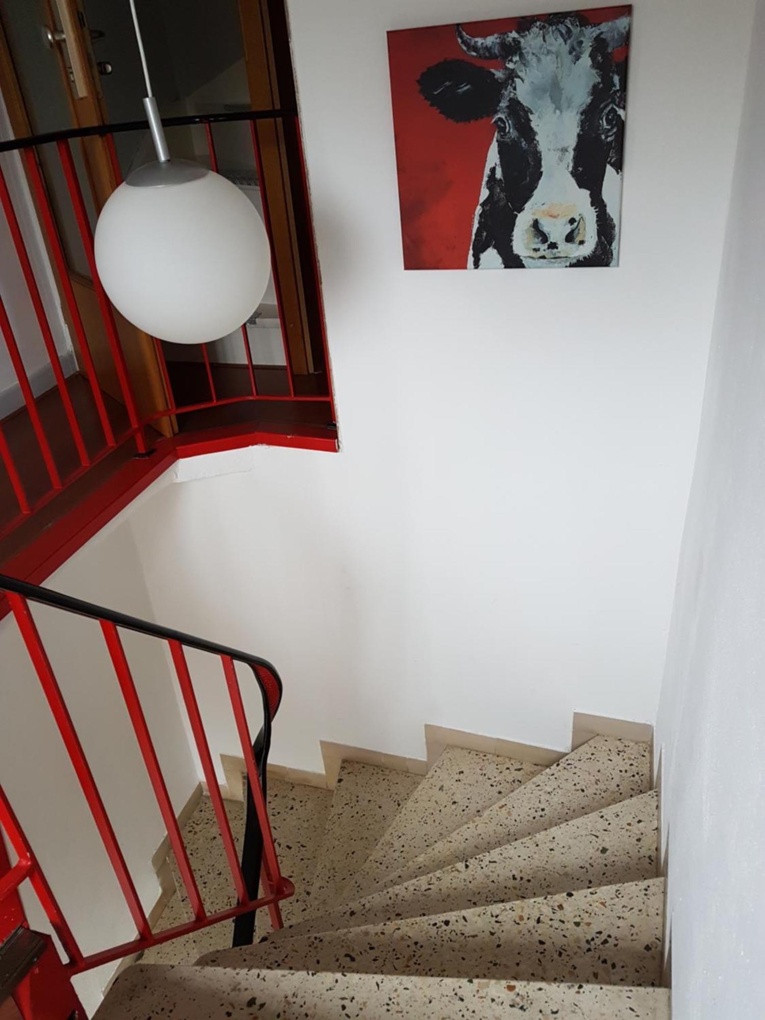 Haus Marlene Daire Zell an der Mosel Dış mekan fotoğraf