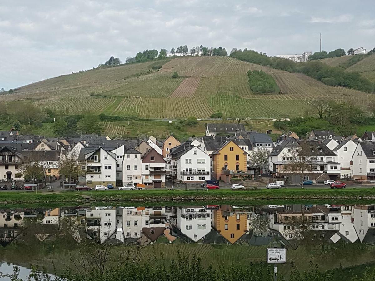 Haus Marlene Daire Zell an der Mosel Dış mekan fotoğraf