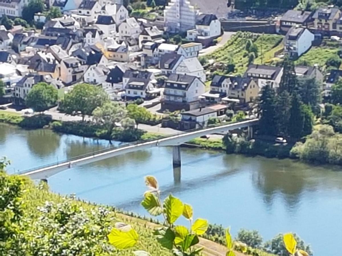 Haus Marlene Daire Zell an der Mosel Dış mekan fotoğraf